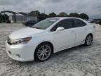 2010 Lexus HS 250H