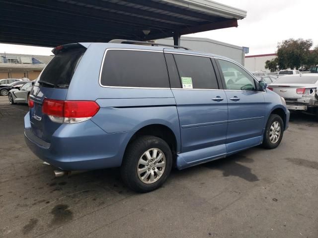 2008 Honda Odyssey EXL