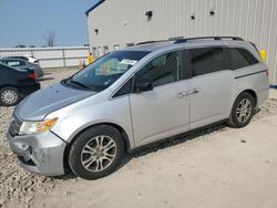 Honda salvage cars for sale: 2013 Honda Odyssey EXL