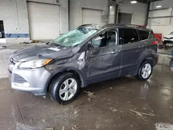 Vehiculos salvage en venta de Copart Ham Lake, MN: 2014 Ford Escape SE