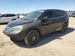 Salvage cars for sale at Amarillo, TX auction: 2014 Honda CR-V EX