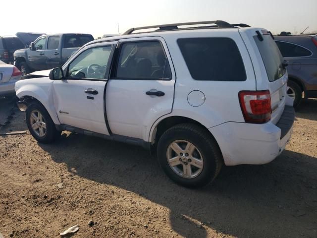 2010 Ford Escape Hybrid