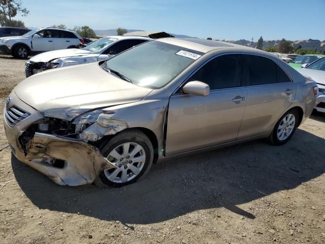 2008 Toyota Camry Hybrid