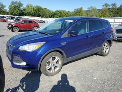 Salvage cars for sale at Grantville, PA auction: 2016 Ford Escape SE