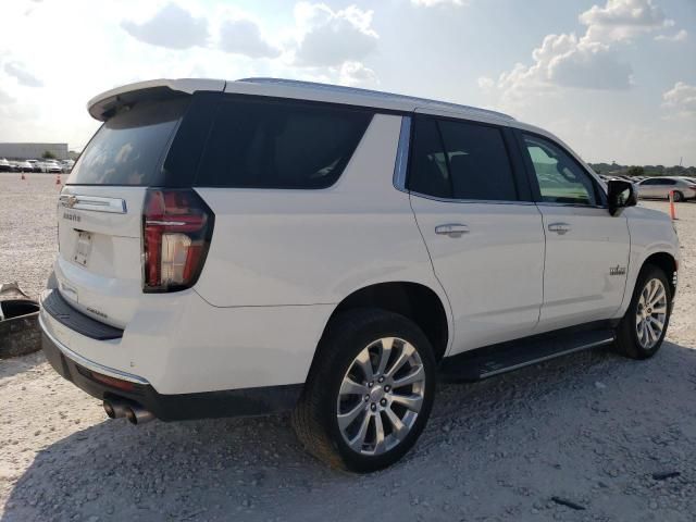 2023 Chevrolet Tahoe C1500 Premier