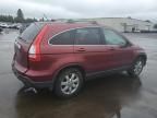 2007 Honda CR-V EXL