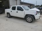 2006 Honda Ridgeline RT