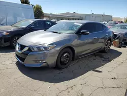 Nissan salvage cars for sale: 2016 Nissan Maxima 3.5S