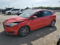 Ford salvage cars for sale: 2016 Ford Focus SE