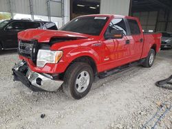 Salvage cars for sale at Rogersville, MO auction: 2013 Ford F150 Supercrew