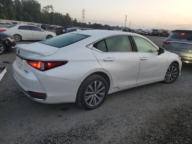 2020 Lexus ES 300H