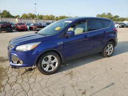 Salvage cars for sale at Fort Wayne, IN auction: 2016 Ford Escape SE