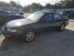 Salvage cars for sale at Ocala, FL auction: 1997 Nissan Maxima GLE