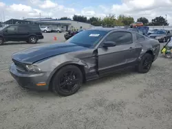 Ford salvage cars for sale: 2010 Ford Mustang