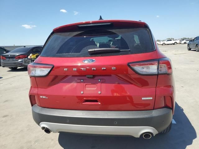 2020 Ford Escape SEL