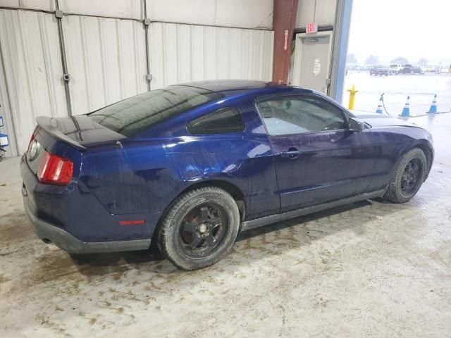 2010 Ford Mustang