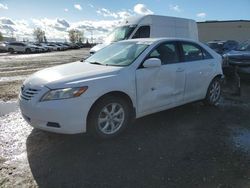 Toyota Camry Base salvage cars for sale: 2019 Toyota Camry Base