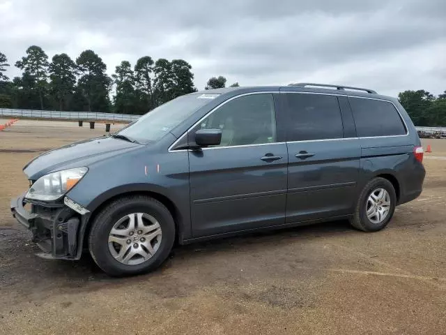 2005 Honda Odyssey EXL