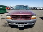 2003 Dodge Dakota SXT