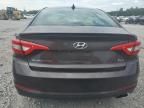 2015 Hyundai Sonata ECO