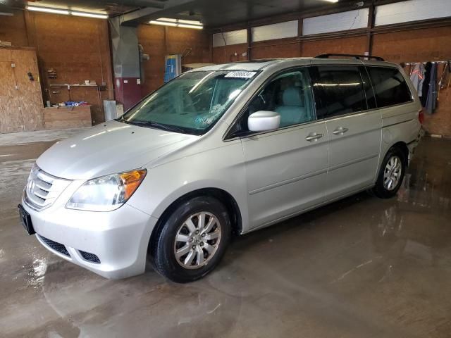 2008 Honda Odyssey EXL