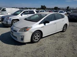 Toyota Prius salvage cars for sale: 2010 Toyota Prius