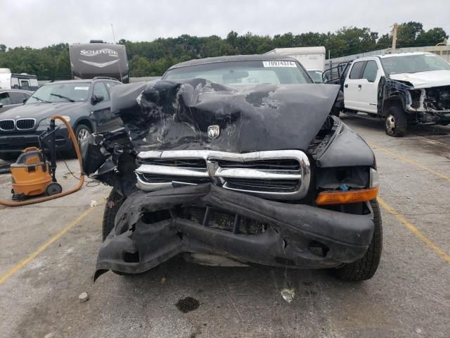 2004 Dodge Dakota Quad Sport