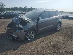 Ford Vehiculos salvage en venta: 2014 Ford Escape Titanium