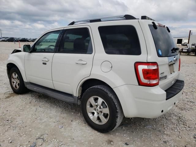 2010 Ford Escape Limited