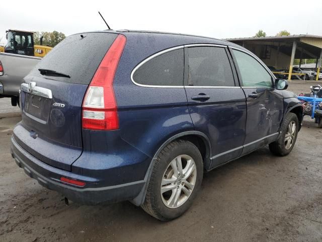 2010 Honda CR-V EXL