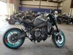 2023 Yamaha MT09