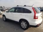 2009 Honda CR-V EXL