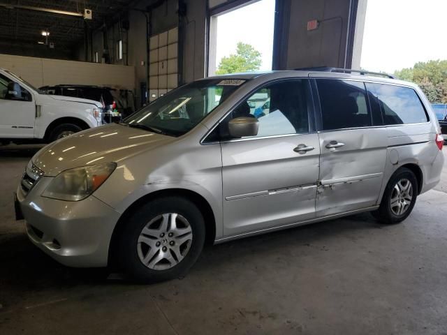 2005 Honda Odyssey EXL