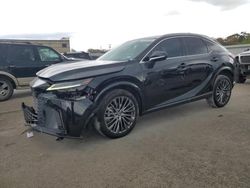 Salvage cars for sale at Wilmer, TX auction: 2023 Lexus RX 350 Base