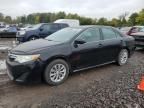 2014 Toyota Camry Hybrid