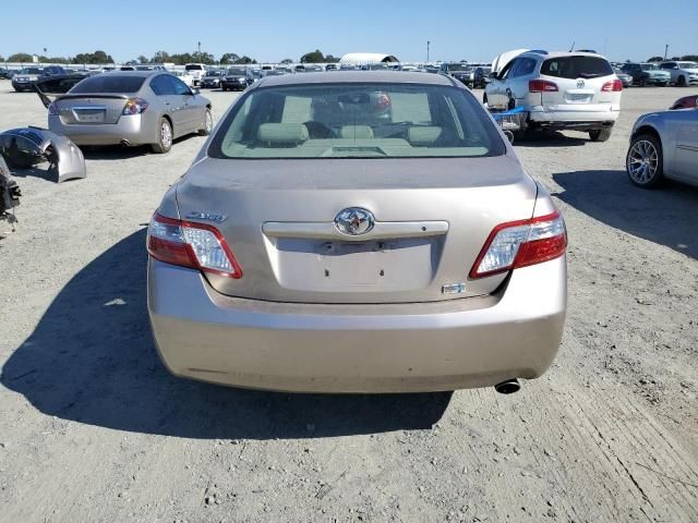 2009 Toyota Camry Hybrid