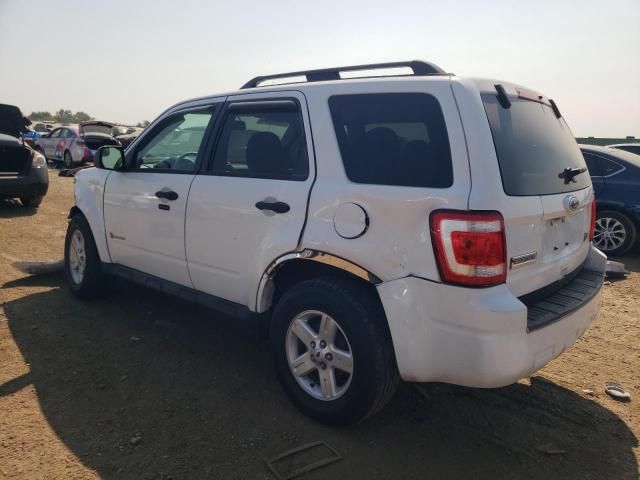 2010 Ford Escape Hybrid