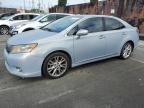 2010 Lexus HS 250H