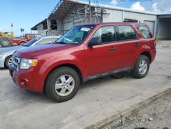 Salvage cars for sale at Corpus Christi, TX auction: 2009 Ford Escape XLS