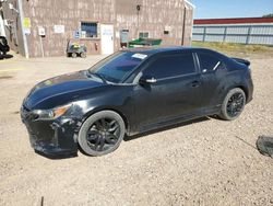 Salvage cars for sale at Rapid City, SD auction: 2014 Scion TC