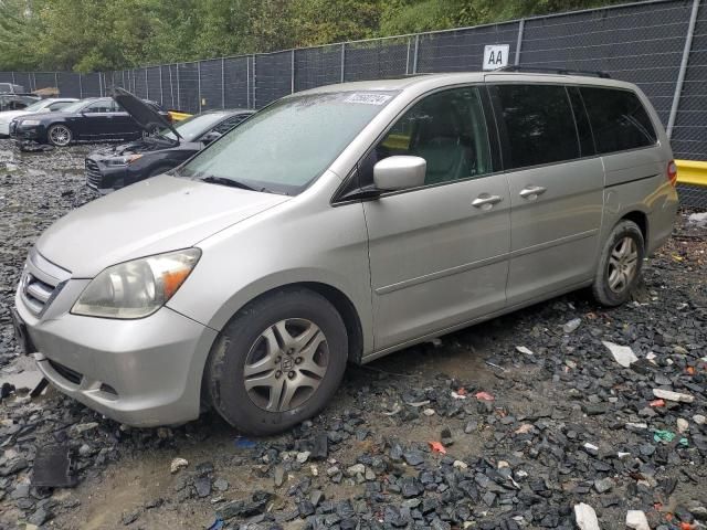 2005 Honda Odyssey EXL