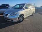 2005 Honda Odyssey EXL