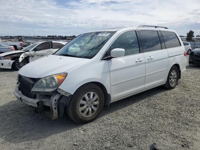 2008 Honda Odyssey EXL