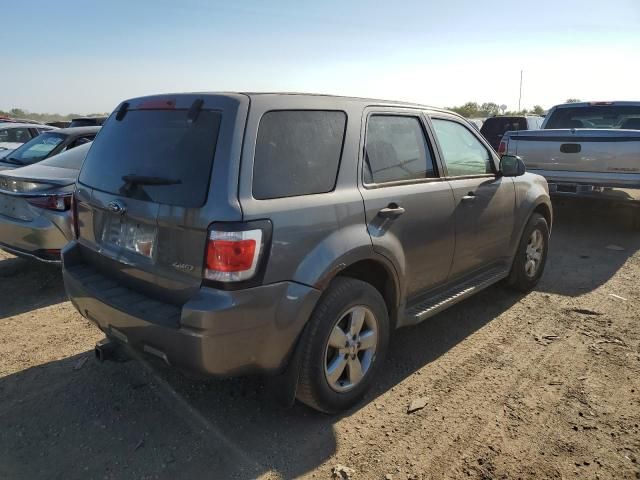 2009 Ford Escape XLT