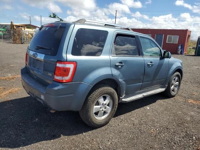 2011 Ford Escape Limited