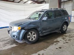 Salvage cars for sale at North Billerica, MA auction: 2011 Ford Escape Limited