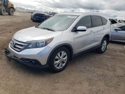 Salvage cars for sale at Elgin, IL auction: 2013 Honda CR-V EXL