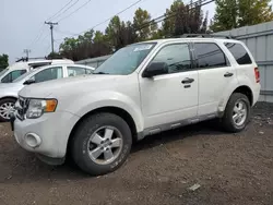 Salvage cars for sale at New Britain, CT auction: 2012 Ford Escape XLT