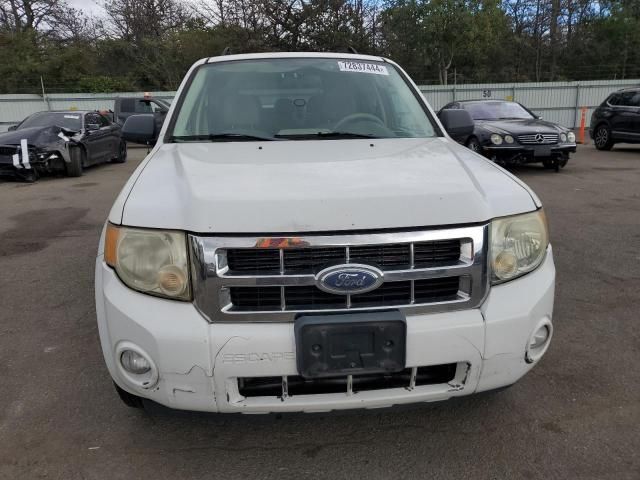 2008 Ford Escape XLT