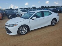 Toyota salvage cars for sale: 2020 Toyota Camry LE